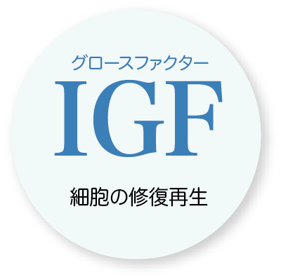 IGF細胞の修復再生